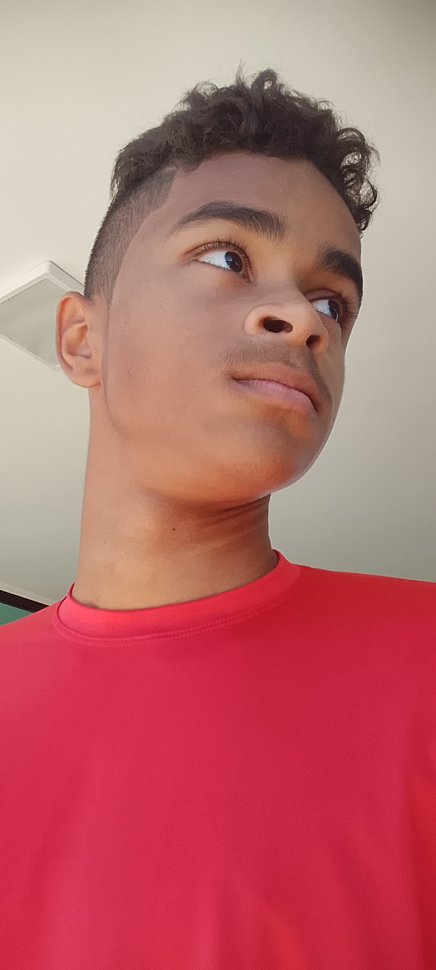 Arthur Araújo